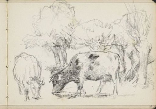 Grazing cows near a group of trees
