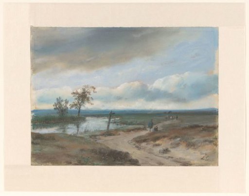 Fen Landscape