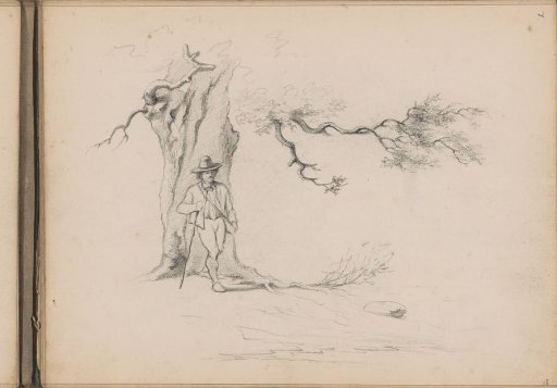 Walker by a tree
