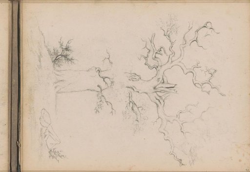 Tree trunk, tree branches, and stones