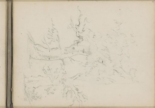 Trees
