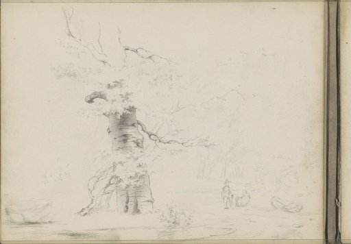 Walkers on a path at the edge of a forest
