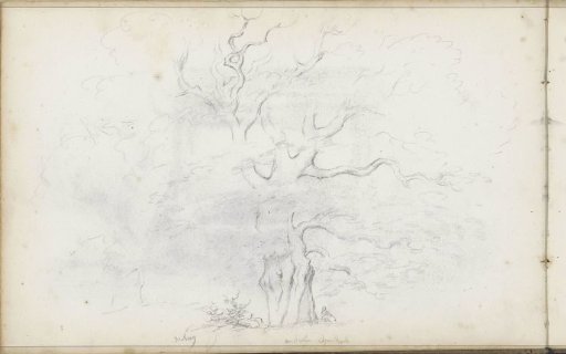 Resting figure under a tree at Sonsbeek