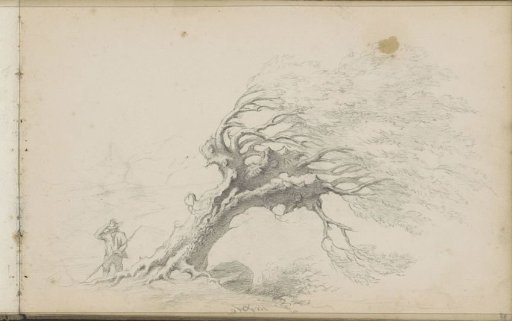 Traveler beside a leaning tree