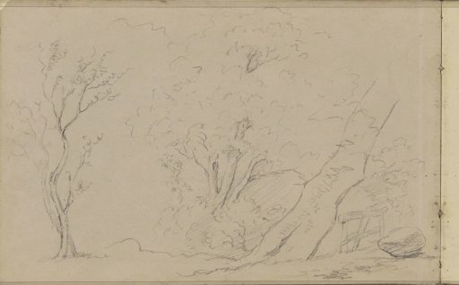 Trees by a fence and a boulder