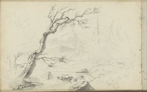 Stream in a mountain landscape