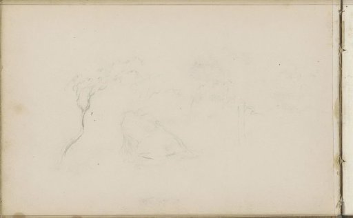 Trees and a boulder