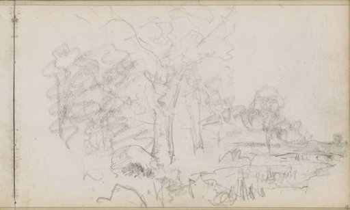 Landscape with trees