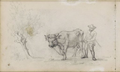 Man with a Bull at a Pollard Willow