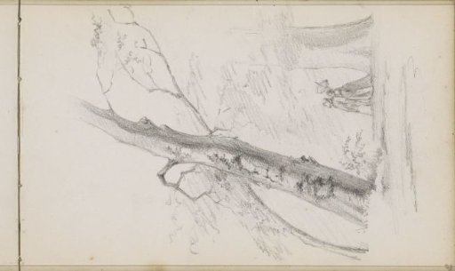 Walking Couple on a Woodland Path