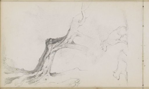 Tree trunk and a lying and sitting dog