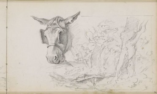Donkey's head and a landscape
