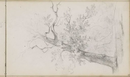 Leaning tree