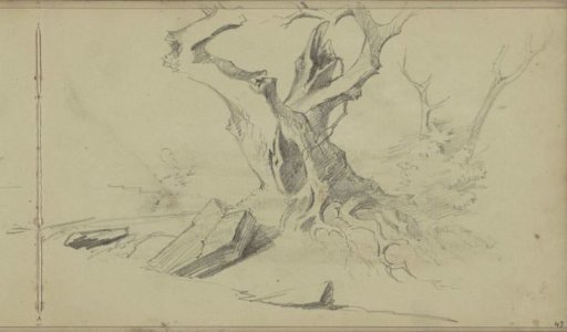 Split tree