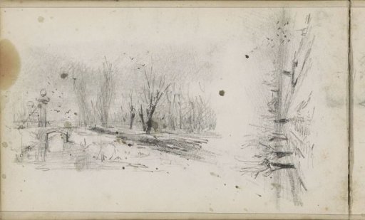Pollard willows along a canal