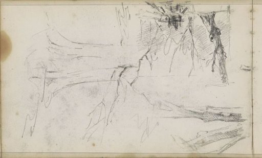 Cart on a country road, a tree trunk and branches