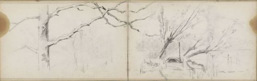 Leaning trees along the water