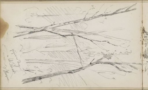 Trees in a forest at The Hague
