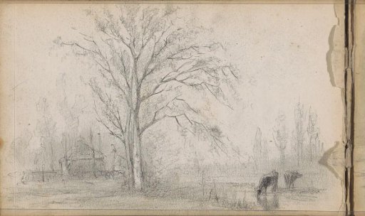 Cows at a Watering Place