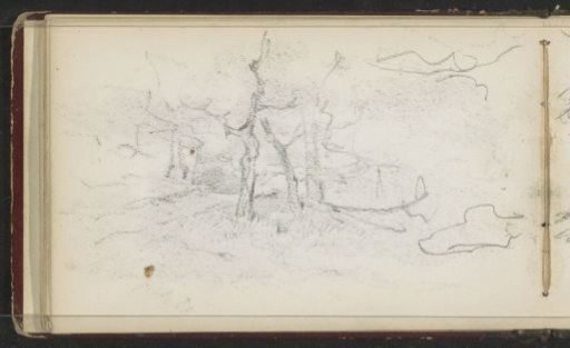 Landscape with trees
