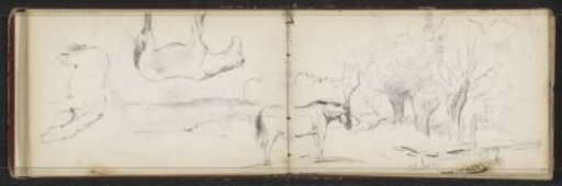 Horse in a meadow