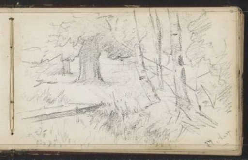 Landscape with trees