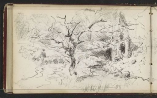 Landscape with trees by a stream
