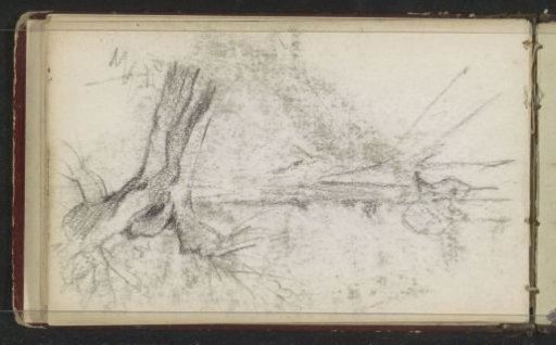 Landscape with a pollard willow