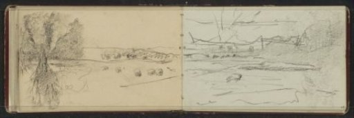 Landscape with cattle