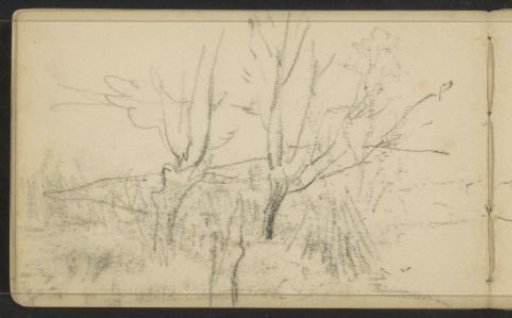 Hill Landscape with Trees