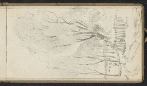 Man on a country road with trees