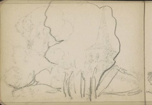 Study