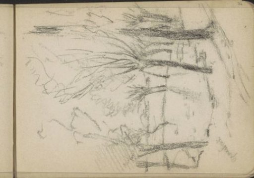 Trees Around a Pond at Groesbeek