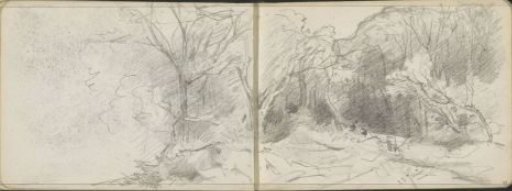 Edge of a forest