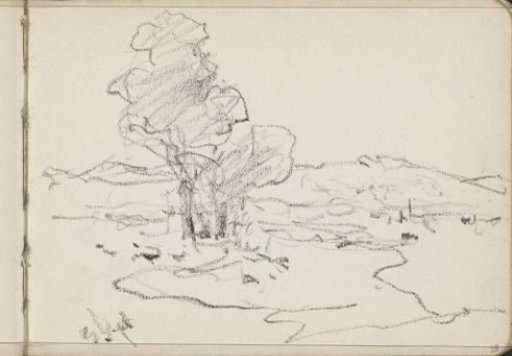 Landscape with trees