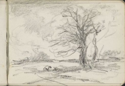 Landscape with a tree