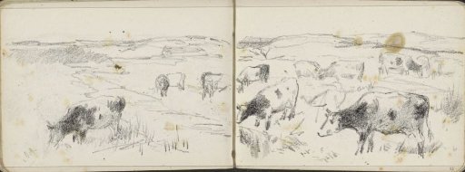 Cows in a hilly landscape