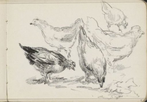 Chickens