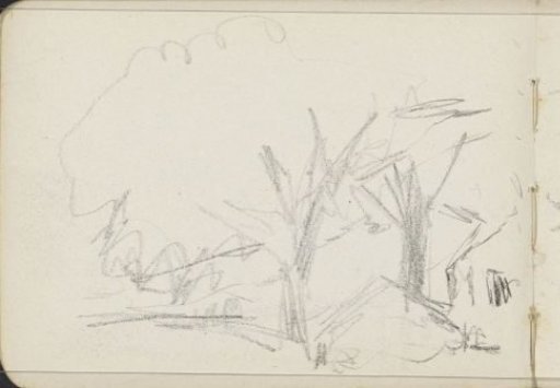Landscape with trees