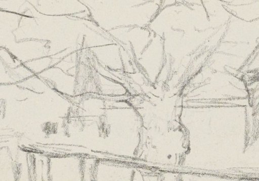 Tree between two houses