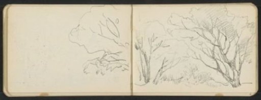 Trees