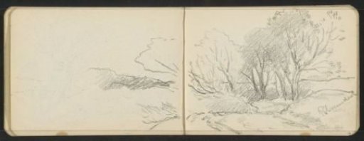 Landscape with trees at Bloemendaal