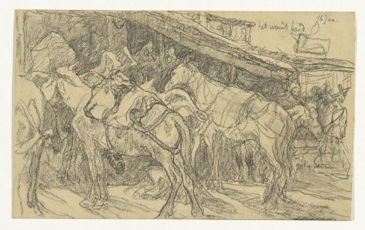 Mules and donkeys on the Grand Market in Tangier