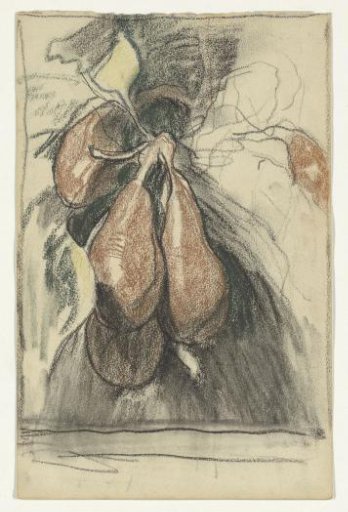 Calabash pears