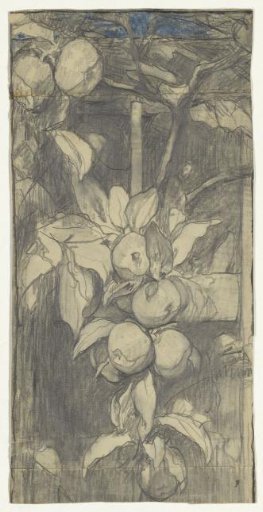 Bunch of Kaiser Alexander apples