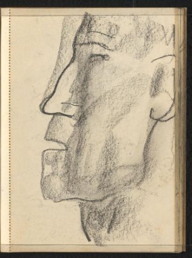 Profile view to the left