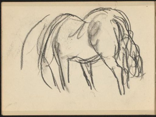Horse with Head Down