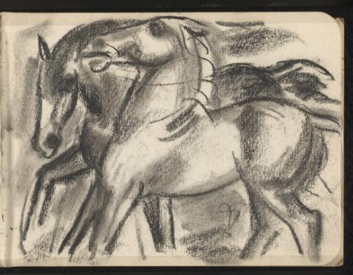 Two horses seen from the side