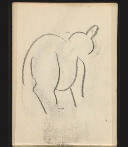Head