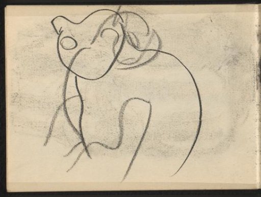Contours of an animal